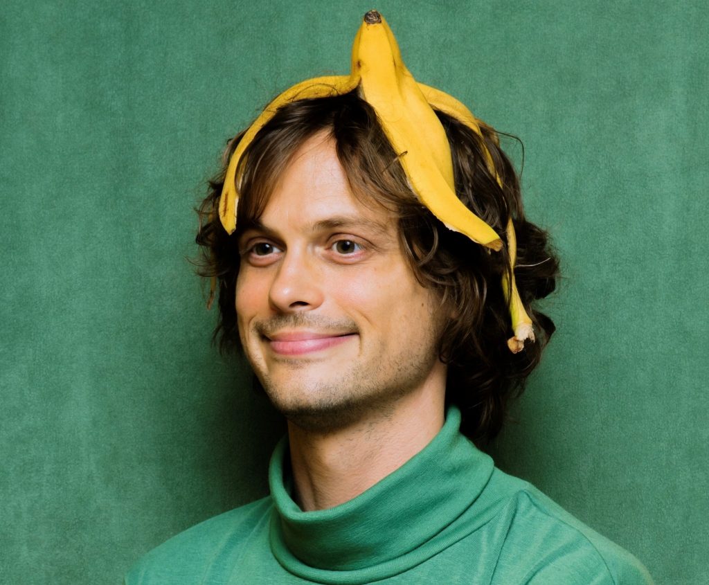 #5  8 hechos locos sobre Matthew Gray Gubler |  Zestradar