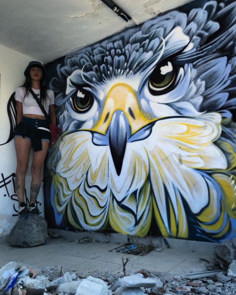 #5  Murales de aves fenomenales de Fio Silva |:  Zestradar