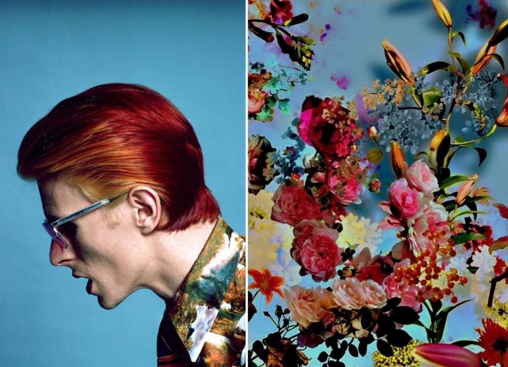 #3 |  David Bowie como Flores |  Zestradar