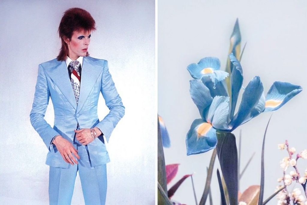 #5  David Bowie como Flores |  Zestradar