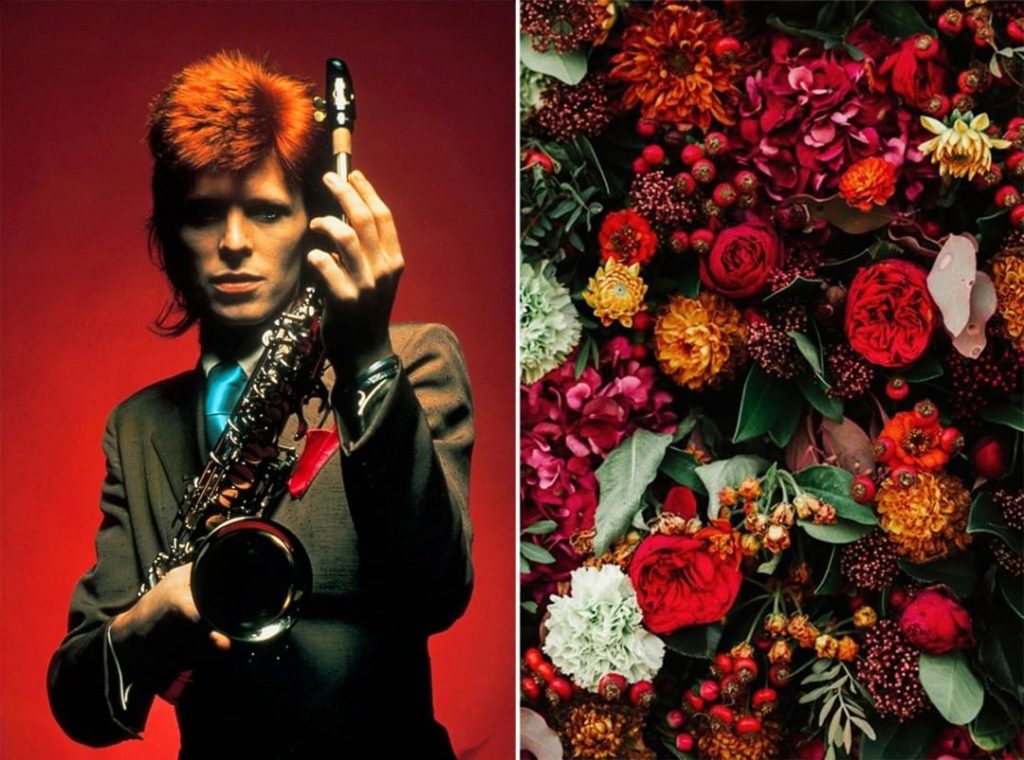 #8 |  David Bowie como Flores |  Zestradar