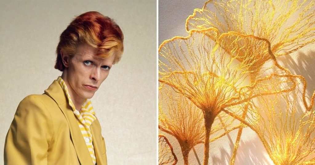 #10 |  David Bowie como Flores |  Zestradar
