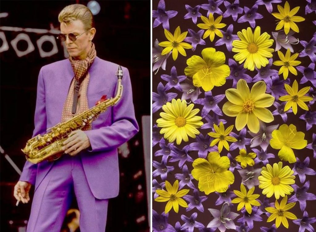 #9 |  David Bowie como Flores |  Zestradar