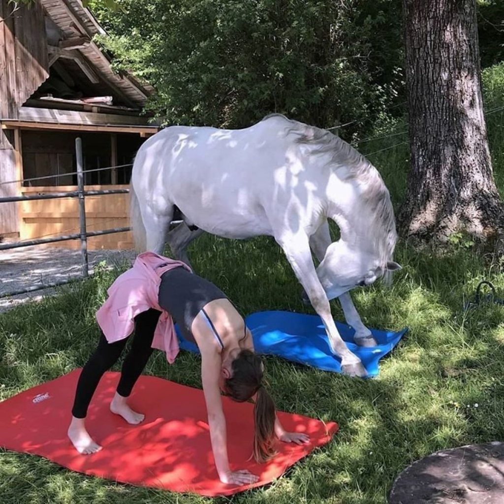 #1  17 divertidos memes de yoga que limpiarán tus chakras |  Zestradar