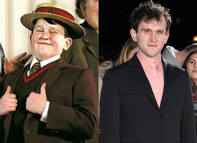 Harry Melling como Dudley Dursley |:  El elenco de Harry Potter.  entonces y ahora |  Zestradar