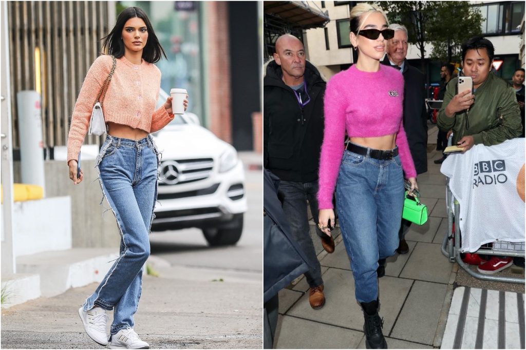 Top corto esponjoso |:  ¿Qué estilo prefieres?  Kendall Jenner contra Dua Lipa |:  Zestradar