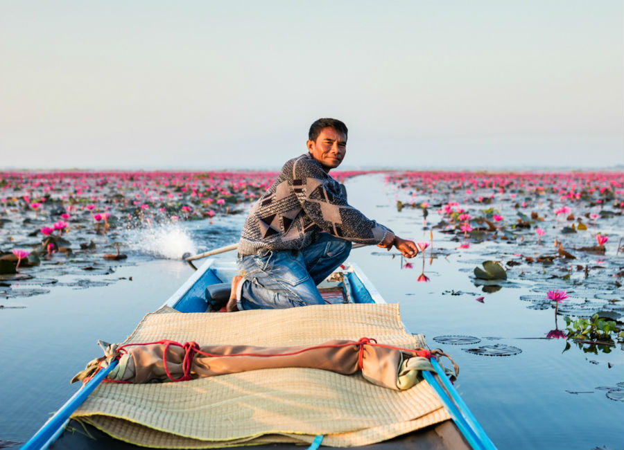 Hay un lago de flores de loto rosa en Tailandia y ridículamente hermoso #6 |  Zest Radar: