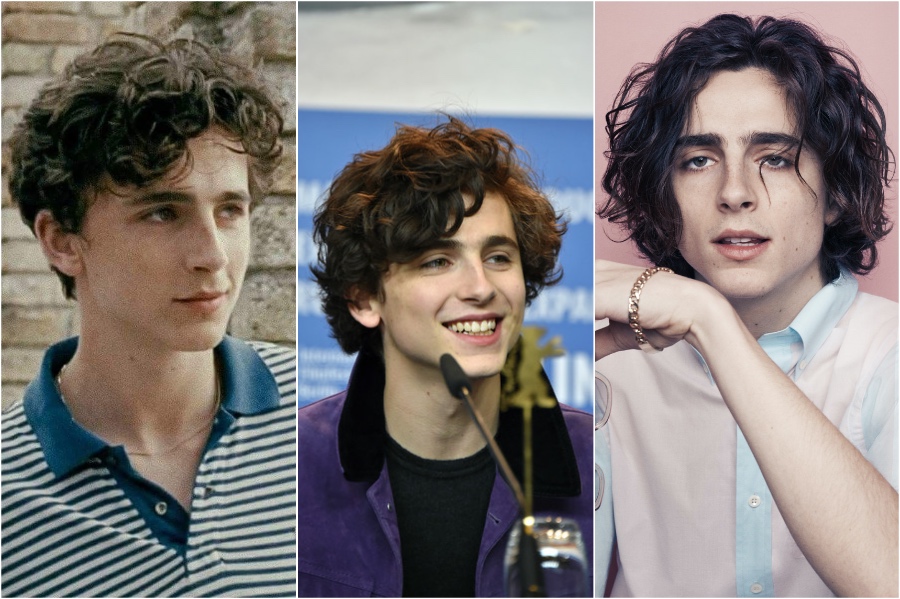 Timothée Chalamet |:  10 hombres famosos con el mejor cabello |  Zestradar