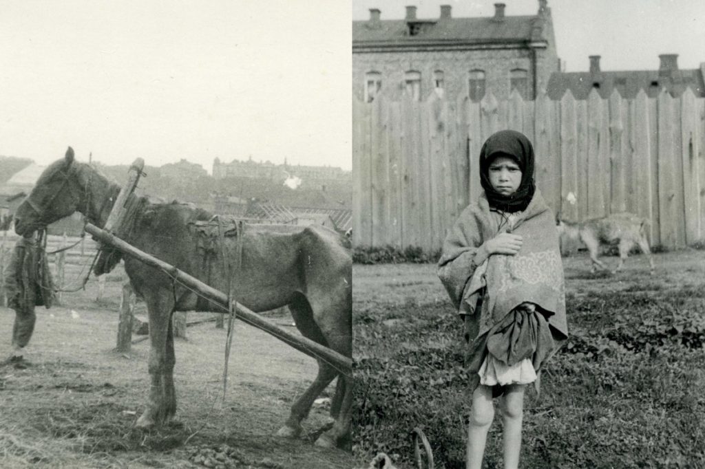 Holodomor |:  8 Terribles Eventos y Hechos en la Historia Humana |  Zestradar