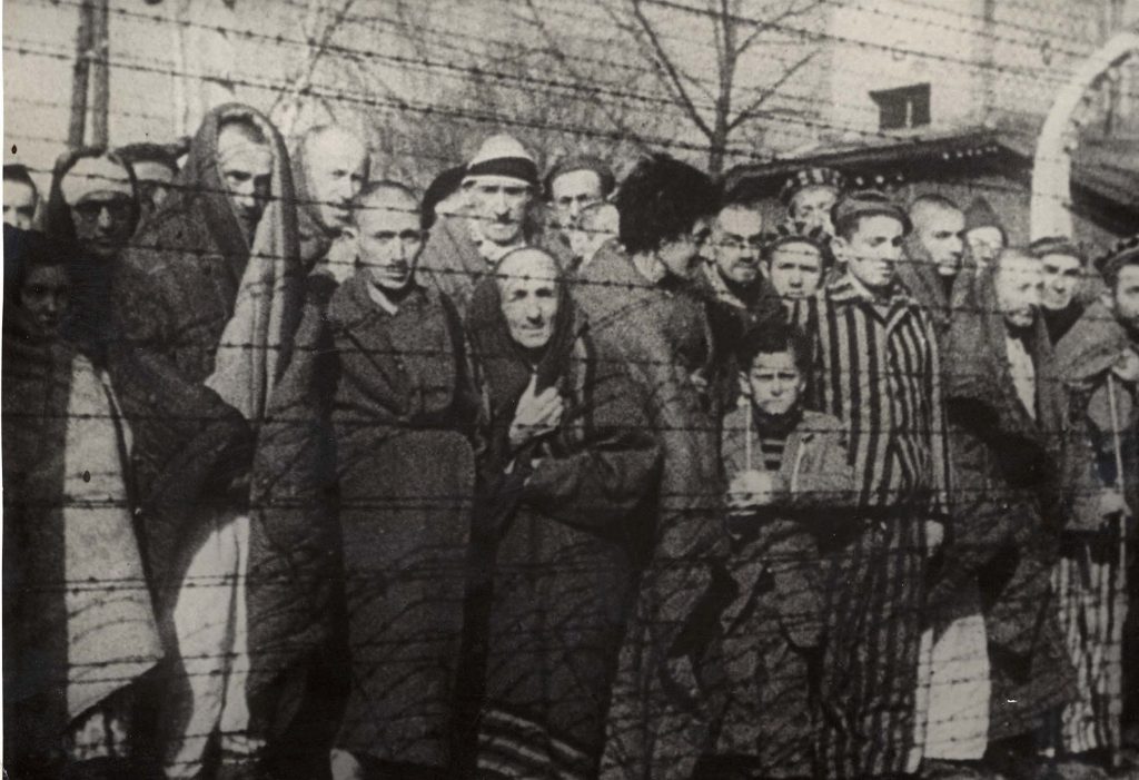 holocausto  8 Terribles Eventos y Hechos en la Historia Humana |  Zestradar