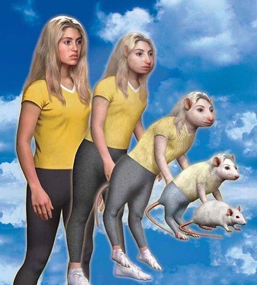 #2  ¿Recuerdas los Animorphs de los 90?  |:  Zestradar