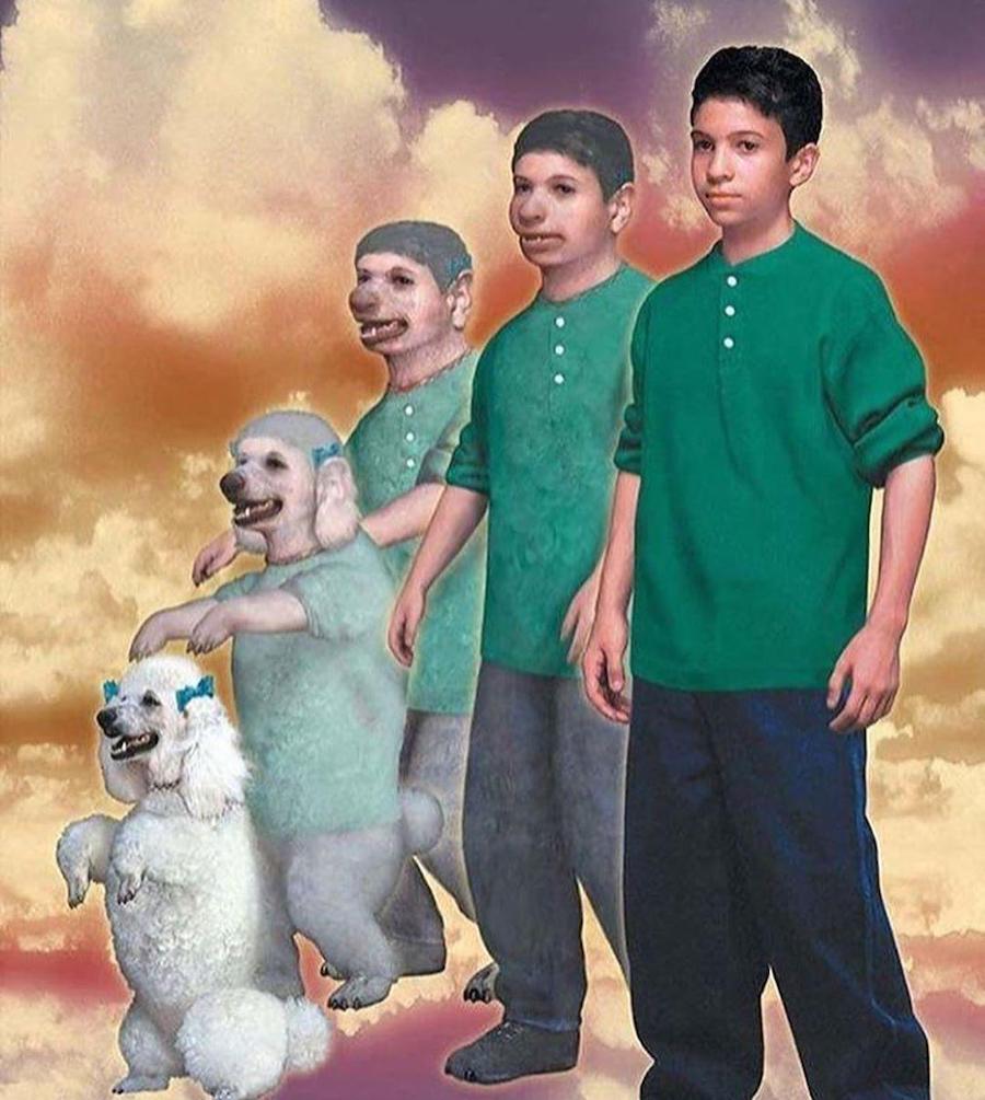 #3 |  ¿Recuerdas los Animorphs de los 90?  |:  Zestradar