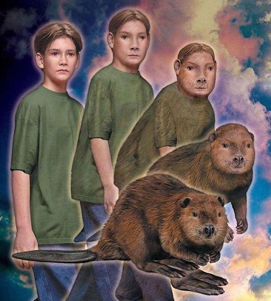 #4 |  ¿Recuerdas los Animorphs de los 90?  |:  Zestradar