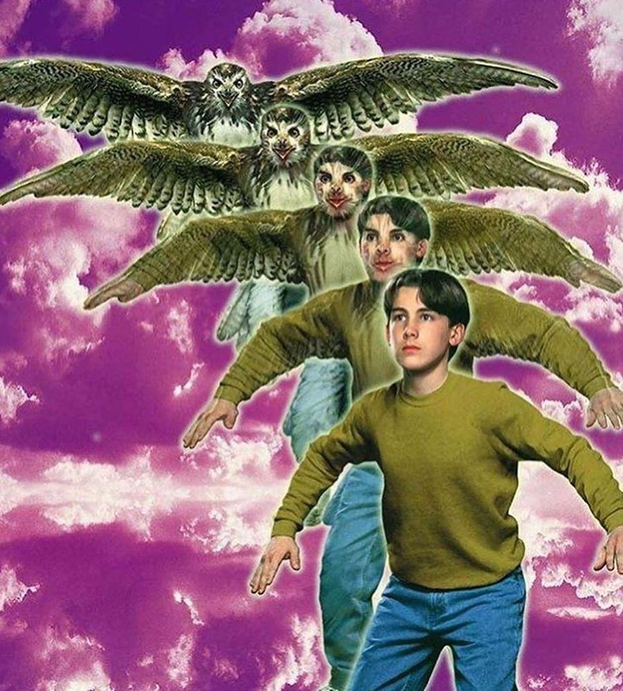 #5  ¿Recuerdas los Animorphs de los 90?  |:  Zestradar