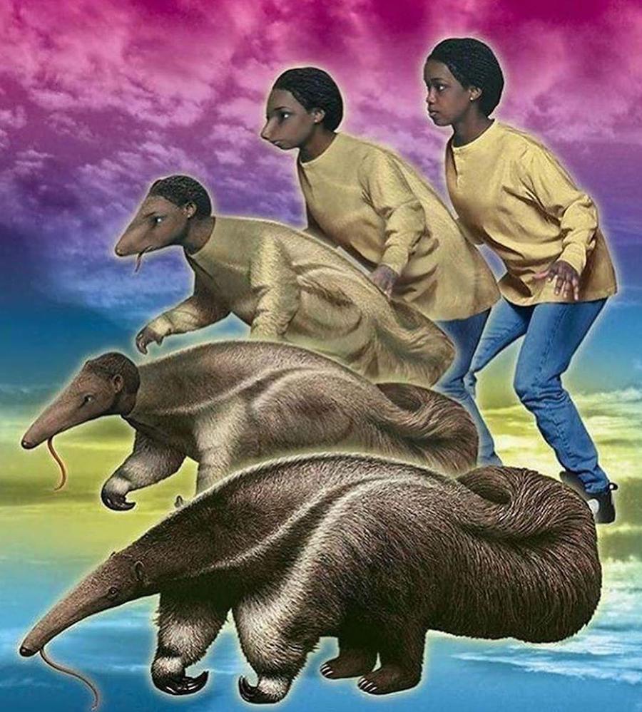 #6 |  ¿Recuerdas los Animorphs de los 90?  |:  Zestradar