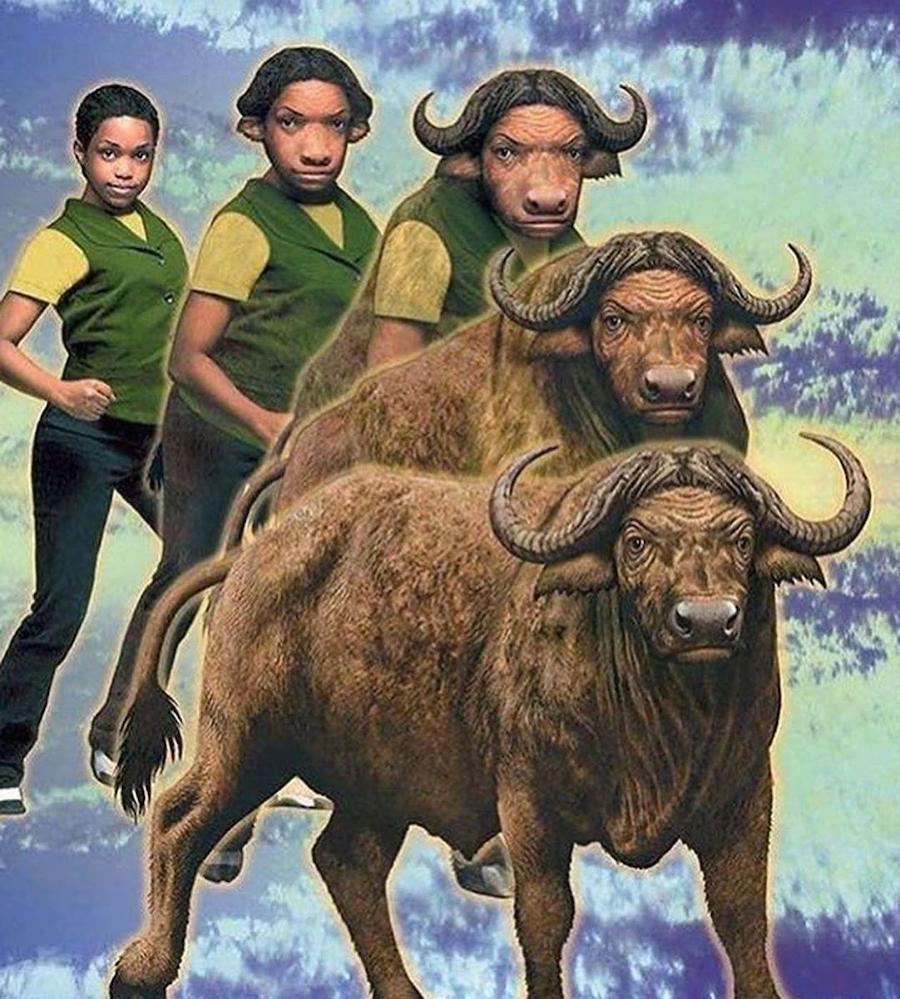 #7 |  ¿Recuerdas los Animorphs de los 90?  |:  Zestradar