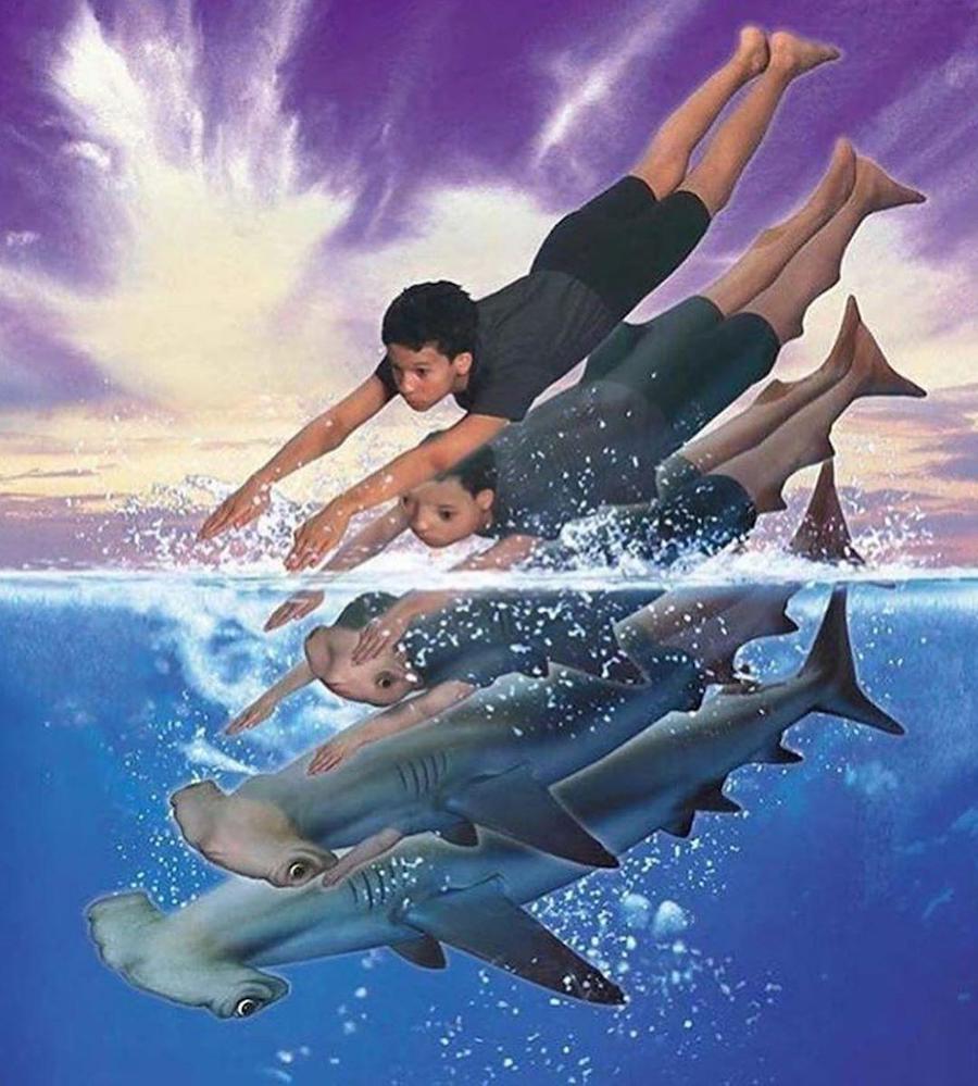 #8 |  ¿Recuerdas los Animorphs de los 90?  |:  Zestradar