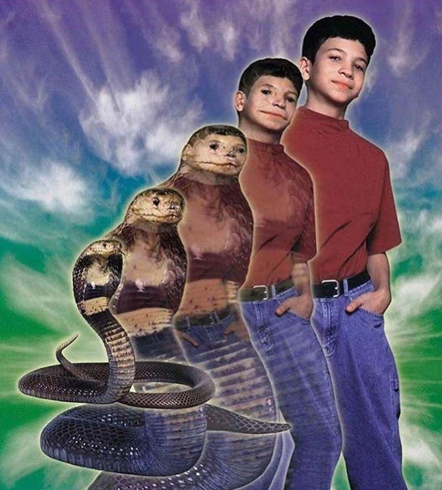 #9 |  ¿Recuerdas los Animorphs de los 90?  |:  Zestradar