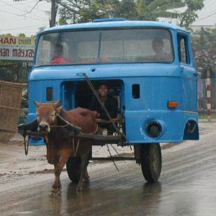 Cosas raras-que-pueden-pasar-solo-en-la-India-08