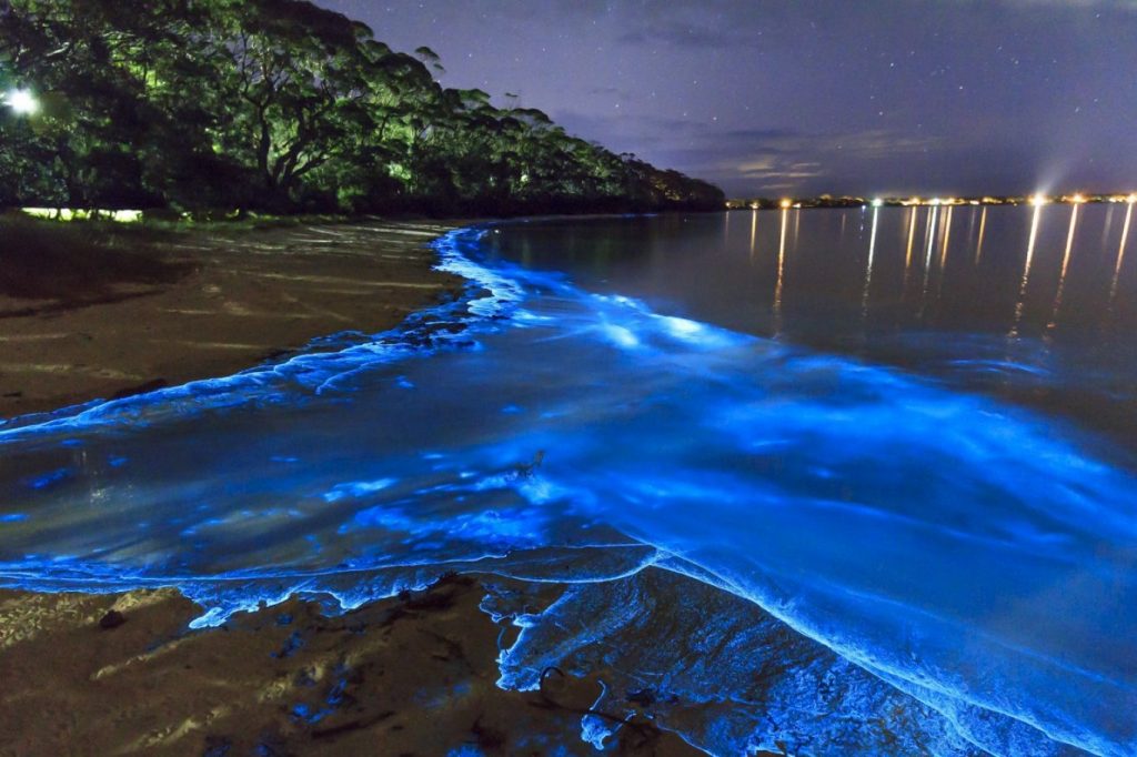 Playas brillantes |  10 de los fenómenos naturales más surrealistas de la Tierra |  Zestradar