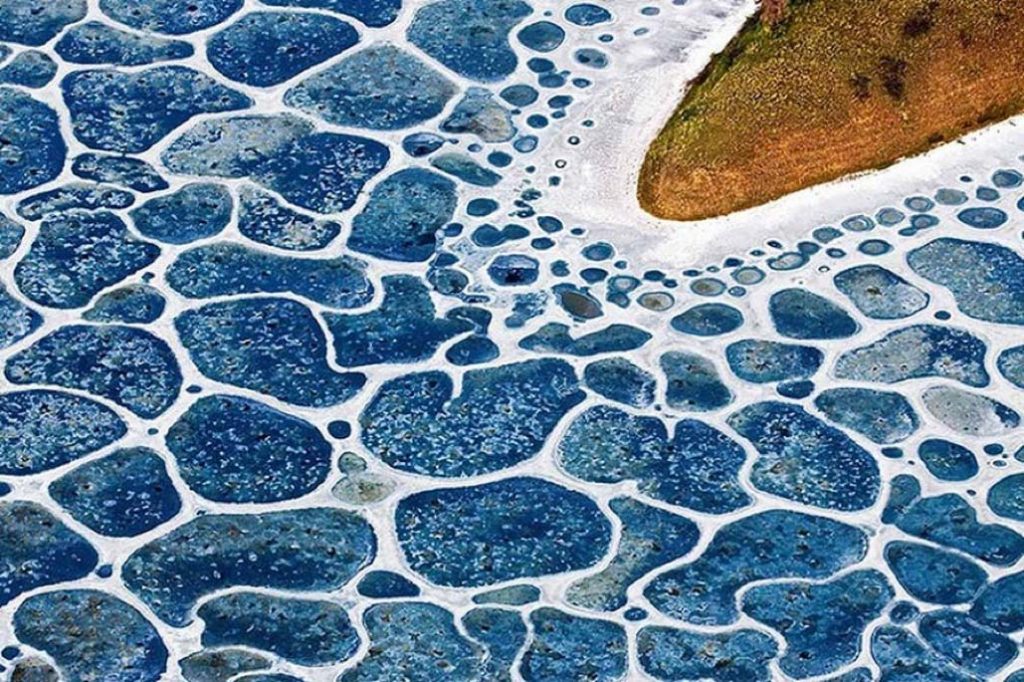 lago moteado |:  10 de los fenómenos naturales más surrealistas de la Tierra |  Zestradar