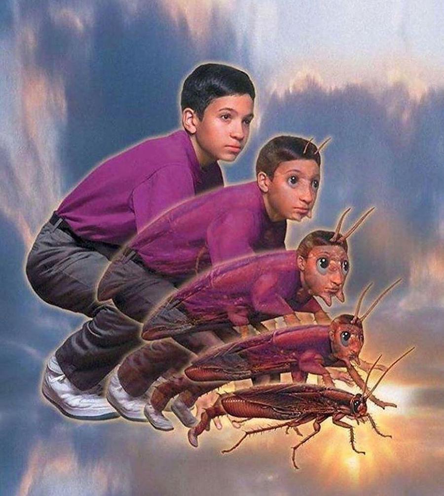 #1  ¿Recuerdas los Animorphs de los 90?  |:  Zestradar