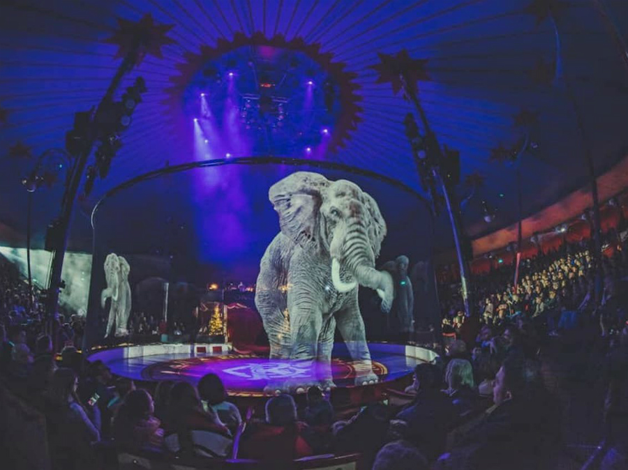 Circo alemán reemplaza animales reales con hologramas  Zest Radar: