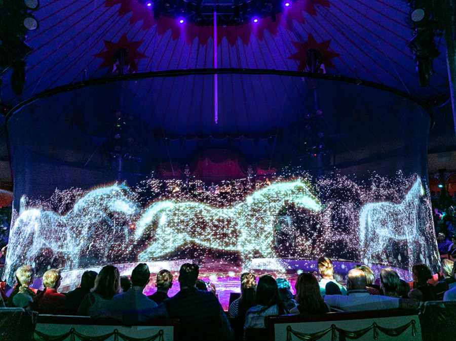 Circo alemán reemplaza animales reales con hologramas  Zest Radar: