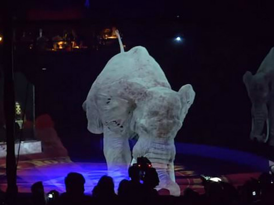 Circo alemán reemplaza animales reales con hologramas  Zest Radar: