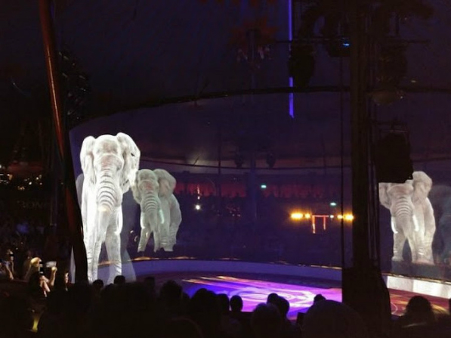 Circo alemán reemplaza animales reales con hologramas  Zest Radar: