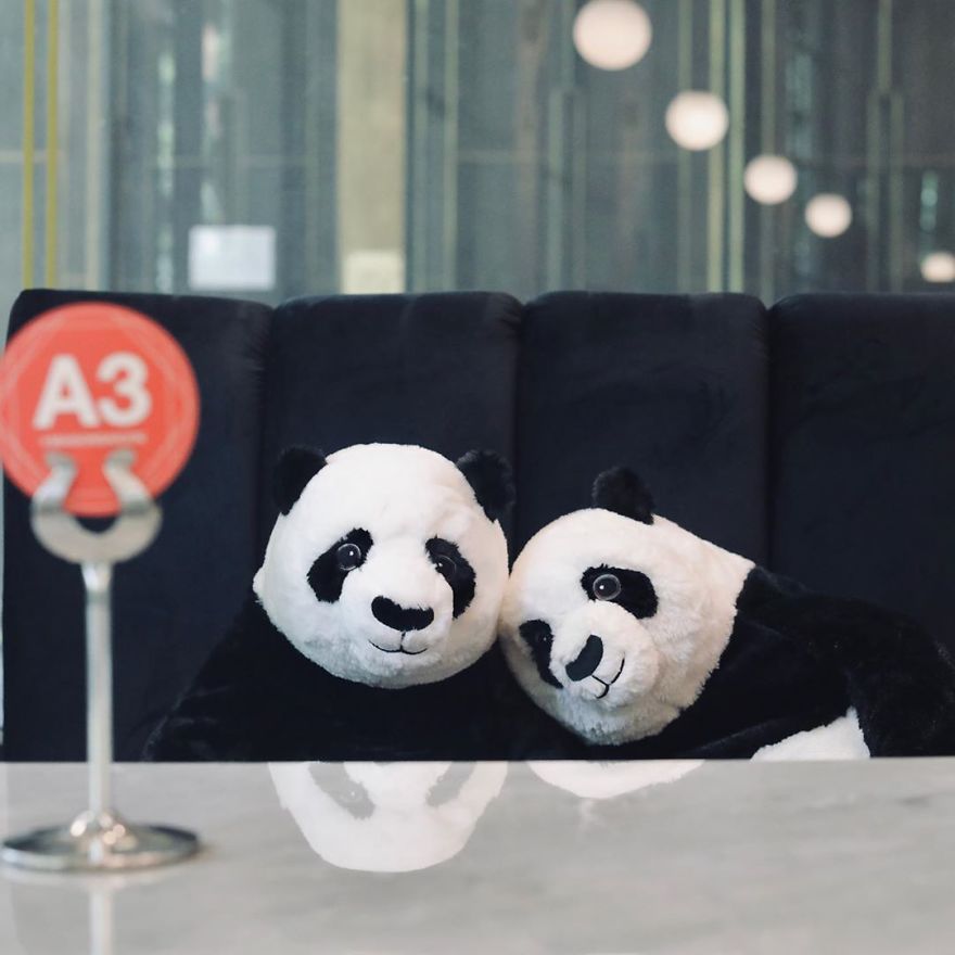 #2  Restaurante tailandés trae pandas a la mesa para promover el distanciamiento social |  Zestradar