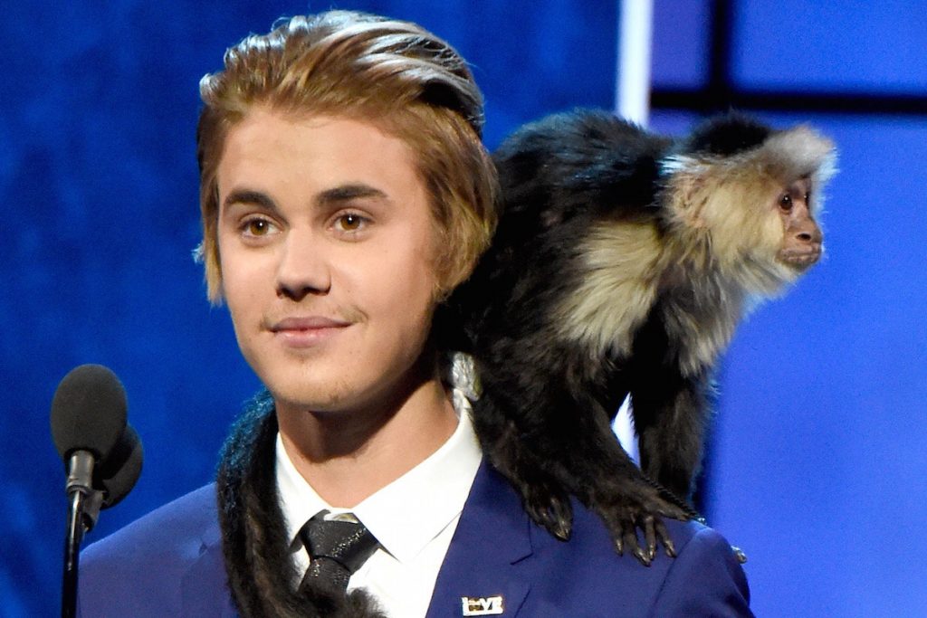 Justin Bieber - Mono |:  Kristen Stewart - El lobo |  10 celebridades con mascotas realmente extrañas |  Zestradar