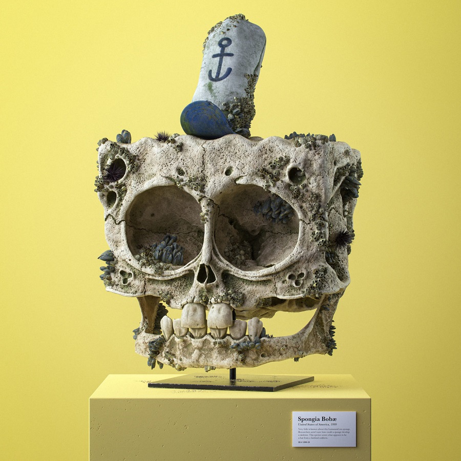 Spongia Bobæ – Estados Unidos, 1999  Las calaveras petrificadas de nuestros personajes de dibujos animados favoritos  Zestradar