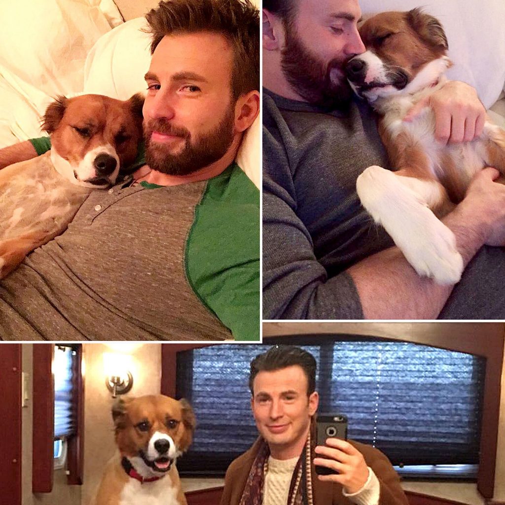 Chris Evans |:  7 actores de superhéroes son héroes de la vida real |  Zestradar