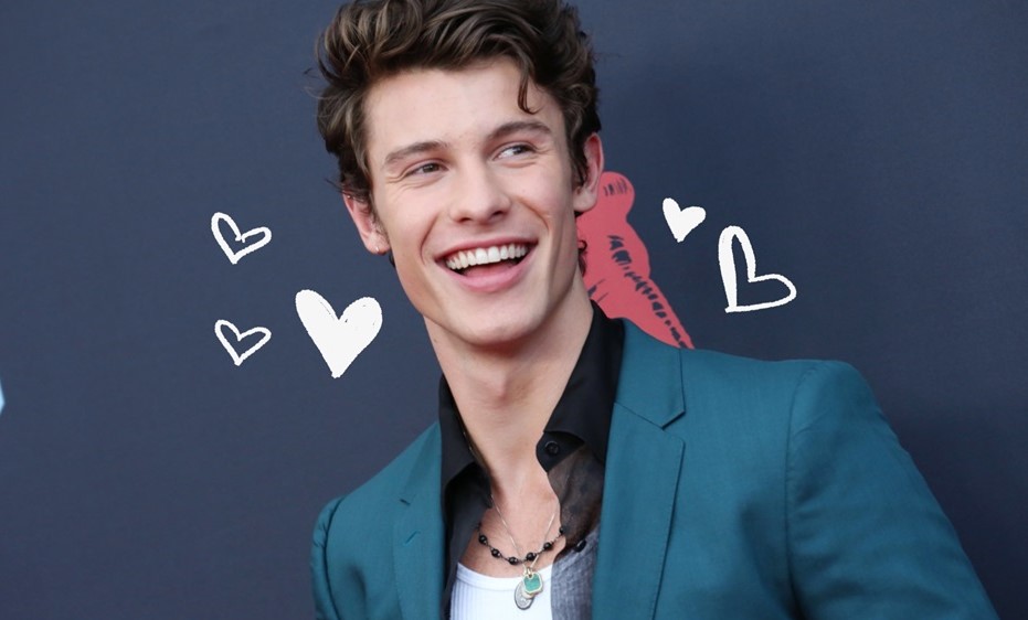 Shawn Mendes |:  Personas de todo el mundo eligen a los 20 hombres más guapos del mundo  Zestradar