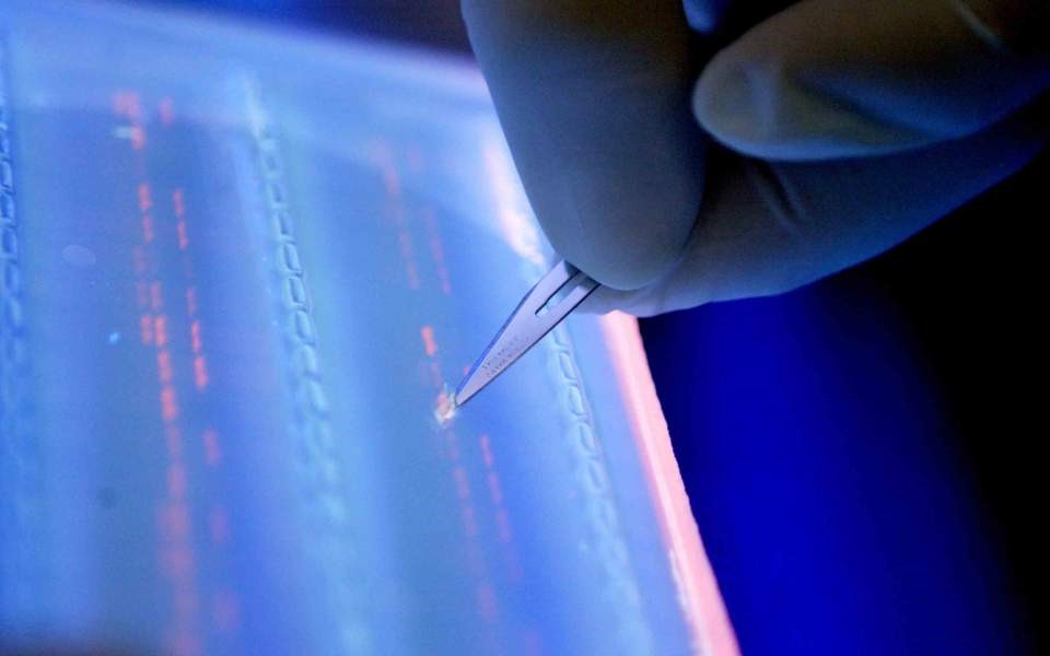 Hemos aprendido a modificar nuestro ADN  Los 9 mayores descubrimientos científicos de la década |  Zestradar