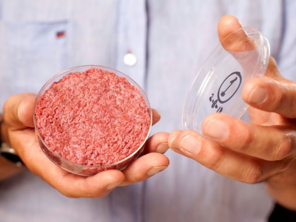 La primera hamburguesa cultivada en laboratorio  Los 9 mayores descubrimientos científicos de la década |  Zestradar