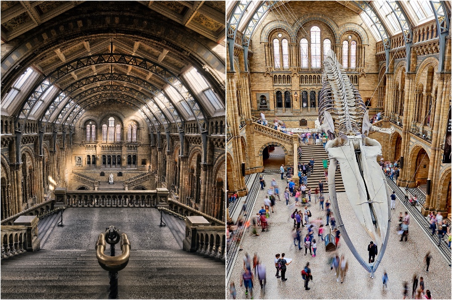 Museo de Historia Natural |  12 destinos turísticos de Londres tan buenos que incluso los lugareños los aman |  Zestradar