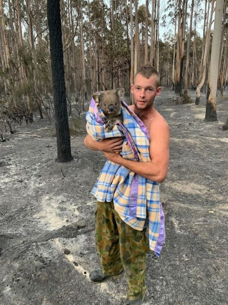 Una hermosa alma desinteresada  15 sobrevivientes de incendios forestales en Australia que te derretirán el corazón |  Zestradar