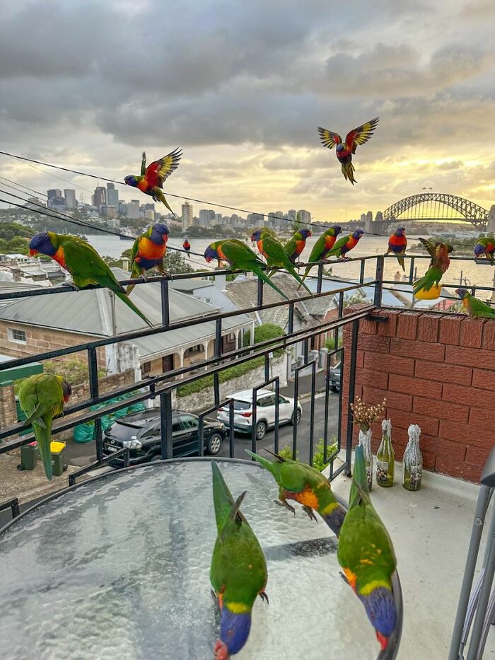 #3 |  ¿Cómo se ve desde tu ventana?  Vea una vista increíble desde la ventana de 15 personas |  Zestradar