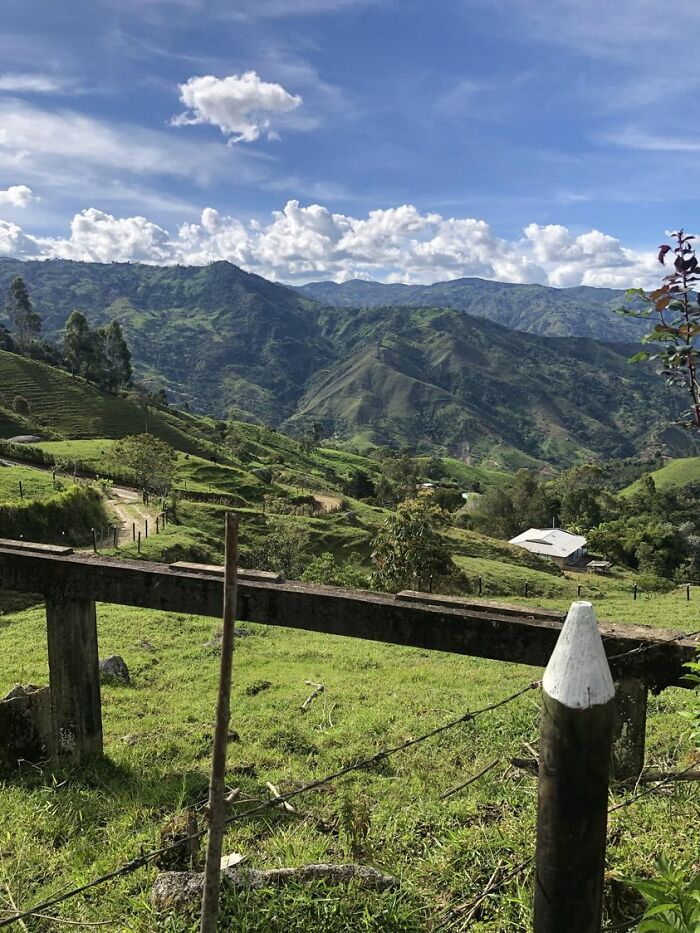 #9 |  ¿Cómo se ve desde tu ventana?  Vea una vista increíble desde la ventana de 15 personas |  Zestradar