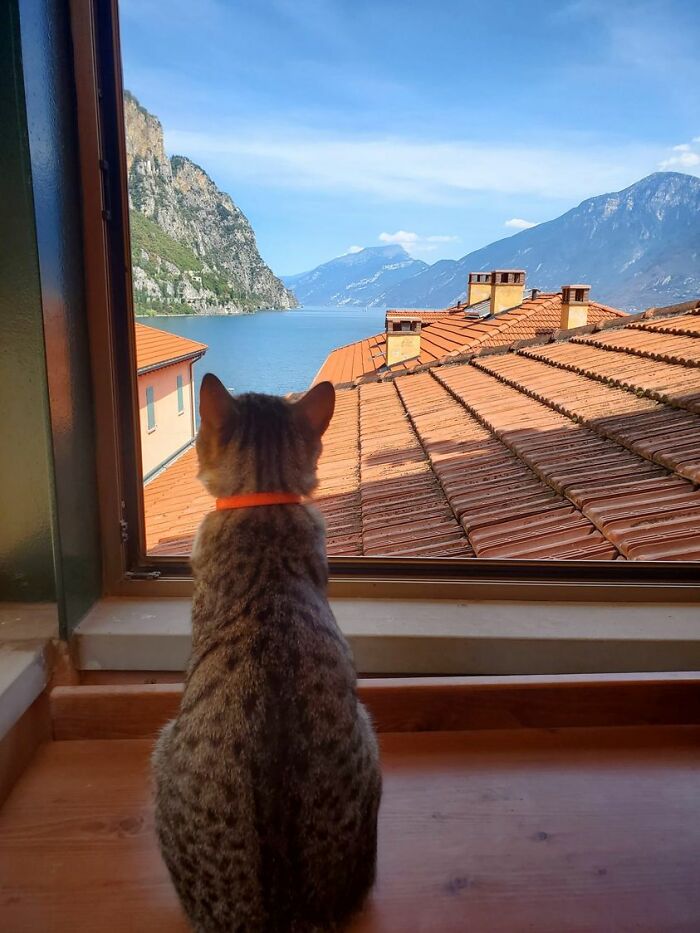 #11 |  ¿Cómo se ve desde tu ventana?  Vea una vista increíble desde la ventana de 15 personas |  Zestradar